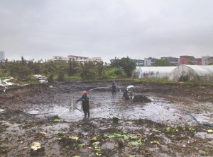 东丽河道鱼塘清淤